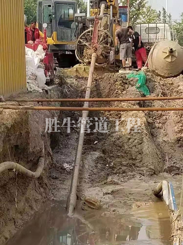 免费看片黄下载服務質量如何